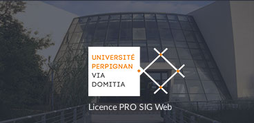 Business Geografic - GEO Academie - Licence pro SIG Web Perpignan