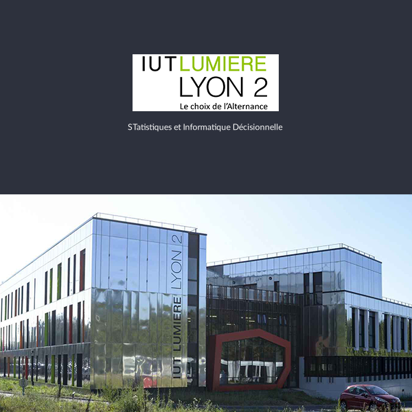 Business Geografic - GEO Academie - IUT Lumiere Lyon 2